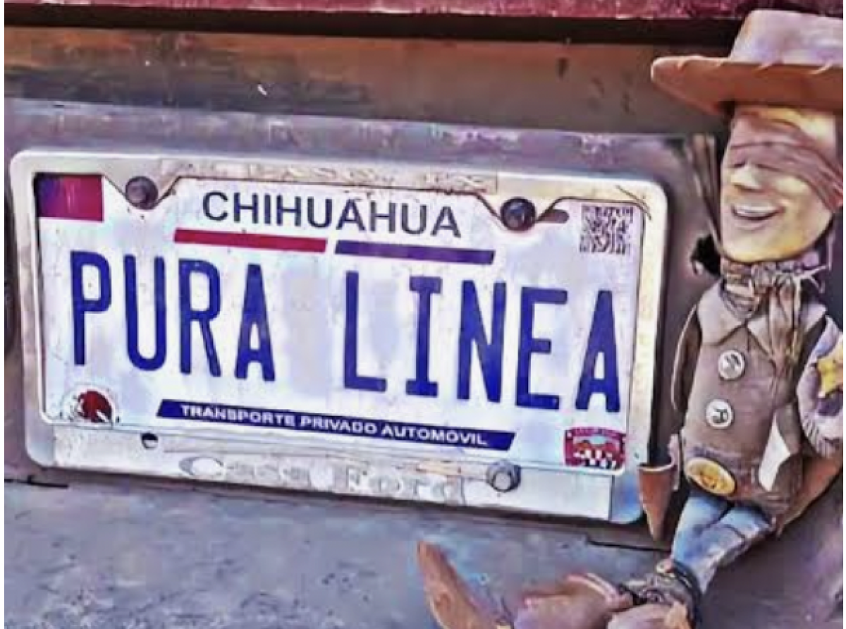 Narcopolíticos, Narcopolis, Narcomilitares, Lavadores ...